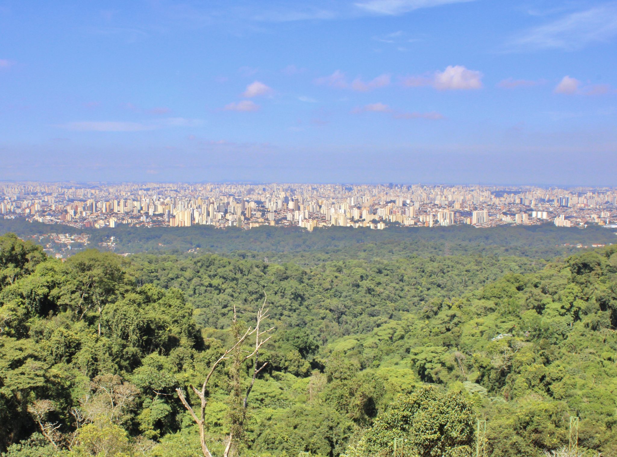 Serra da Cantareira | Mundo que Vi